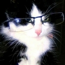 Avatar of user qaliwia