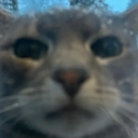 Avatar of user rxnvy