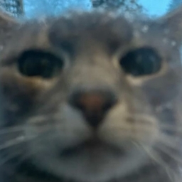 Avatar of user rxnvy