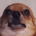 Avatar of user SDgijjawl