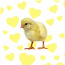 Avatar of user KYUUU222