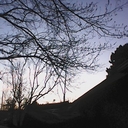 Avatar of user MadysonPasols