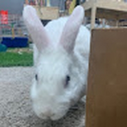 Avatar of user bigsnot