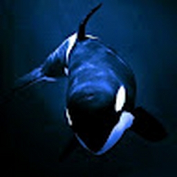 Avatar of user Eclipse29