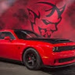 Avatar of user jayden415266