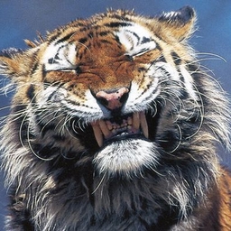 Avatar of user BI-CHAN