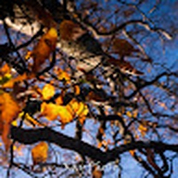 Avatar of user Kay0201