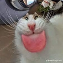 Avatar of user mckiseyp