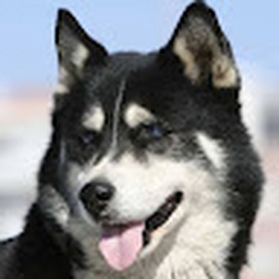 Avatar of user Mori_PK