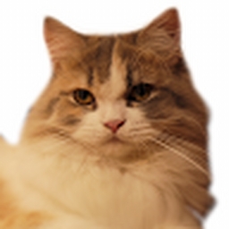 Avatar of user NagsPH