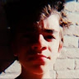 Avatar of user pauloslwczuk