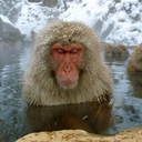 Avatar of user Alesk