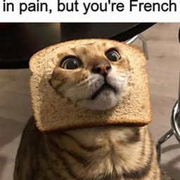 Avatar of user bluenoobie