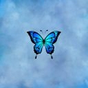 Avatar of user A33