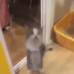 Avatar of user BoomLuigi