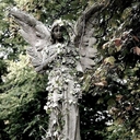 Avatar of user jiumxng