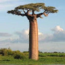 Avatar of user redone368