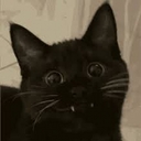Avatar of user maxslepton