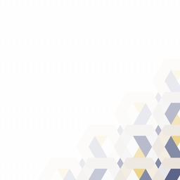 Avatar of user rac-hid