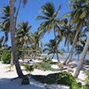 Avatar of user TheHans