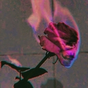 Avatar of user 9OpposumsInALeatherJacket