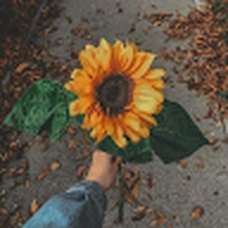 Avatar of user Animpasta7307