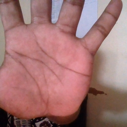 Avatar of user kaburekaititi