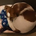 Avatar of user Toby-e