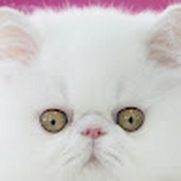 Avatar of user keyboord