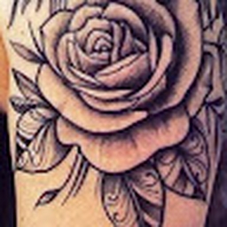 Avatar of user shawnia022