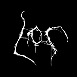Avatar of user Lor