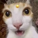 Avatar of user ciaran12