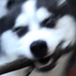 Avatar of user ColeThornsberry