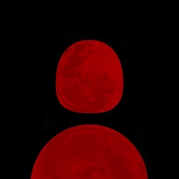 Avatar of user R.E.D