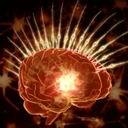 Avatar of user SMUROV