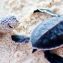 Avatar of user Sadie8910