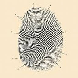 Avatar of user brogaard123