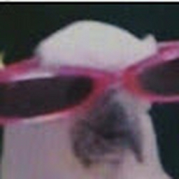 Avatar of user jajavivi