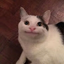 Avatar of user aksuna1475