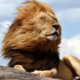 Avatar of user Vicmac