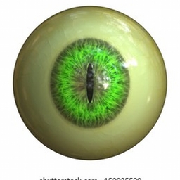 Avatar of user IzBread