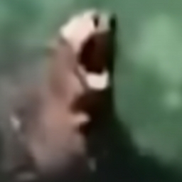 Avatar of user 1ee6768w67e68w66869we67