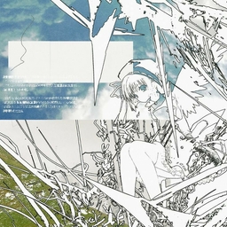 Avatar of user noah