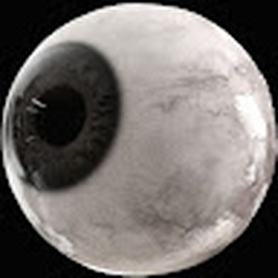 Avatar of user xoniu