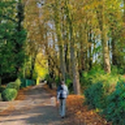 Avatar of user bsag6dfguahbas