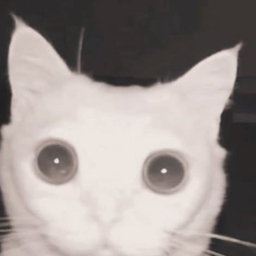 Avatar of user saintwolfgang