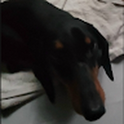 Avatar of user koidzngauloi