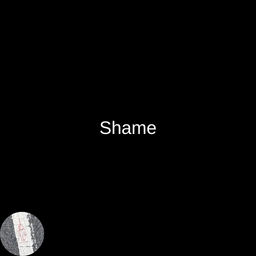 Avatar of user shame