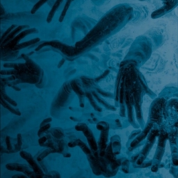 Avatar of user ZëRo