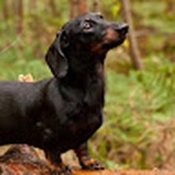 Avatar of user jujubeatz